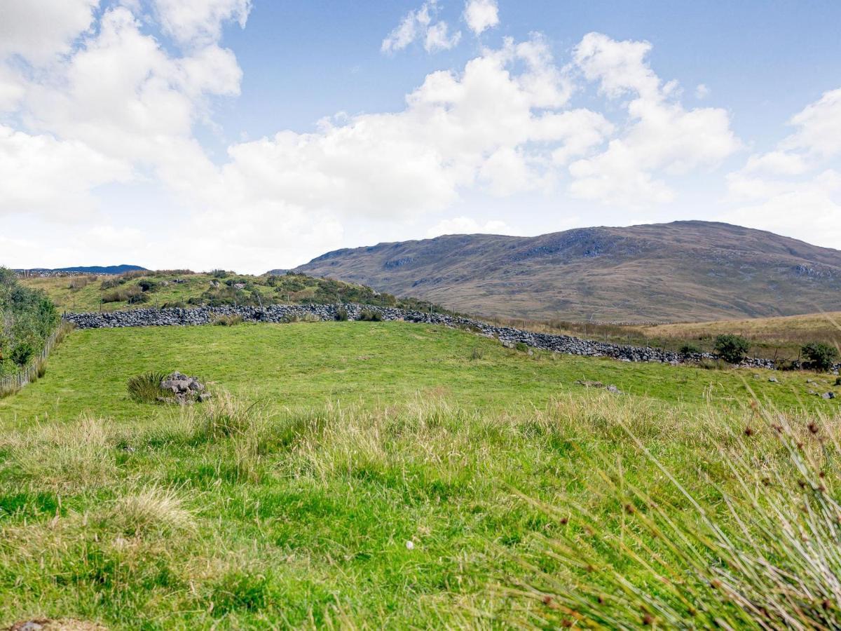 Vila Llety Nest Llanfachreth Exteriér fotografie